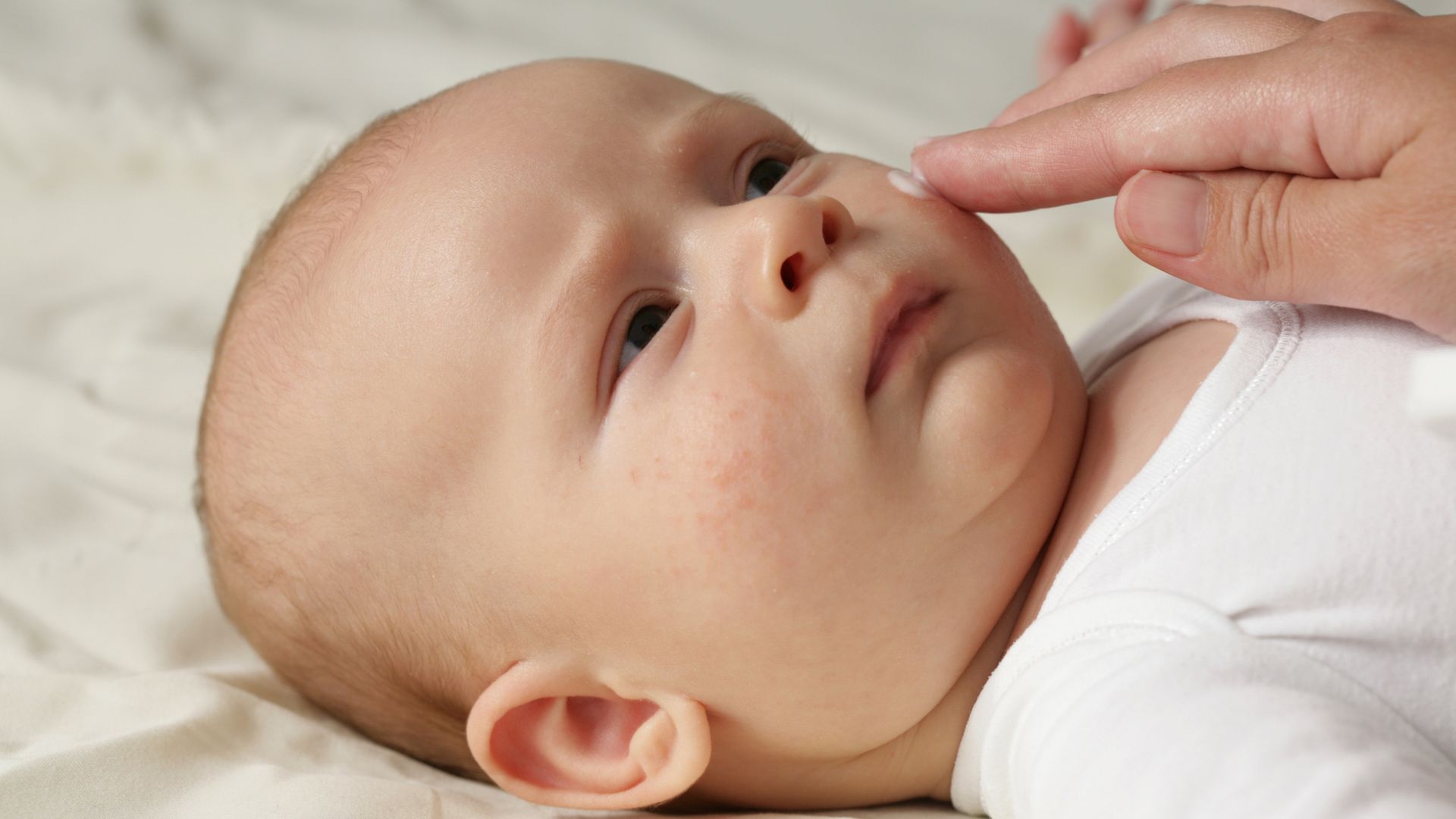 Mon Bébé Est Allergique Aux Protéines De Lait De Vache